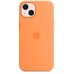 Кейсы iPhone 13 Apple Silicone Case HQ