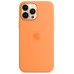 Кейсы iPhone 13 Pro Apple Silicone Case HQ